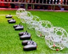 独家揭秘,冰糖,双色球精准,江苏体彩,江苏体彩网,江苏体彩网官网,体育彩票,体彩大乐透,竞彩足球,体彩公益