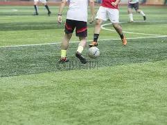 筱杉独家,双色球,期预测大揭,江苏体彩,江苏体彩网,江苏体彩网官网,体育彩票,体彩大乐透,竞彩足球,体彩公益