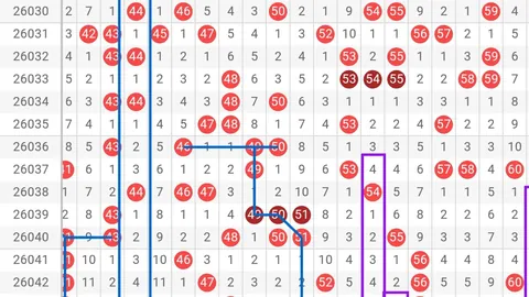 第2026050期 2026050期丁火大乐透推荐：专家质合