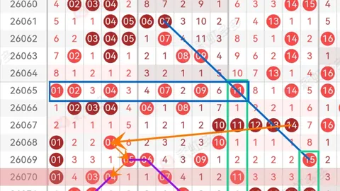 2026061期易麒福彩3D专家质合分析推荐前区十码