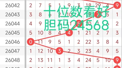 福彩3D26066期专家号码推荐：质合分析前区十码
