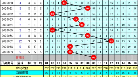 2026048期双色球专家推荐，上期31质合分析